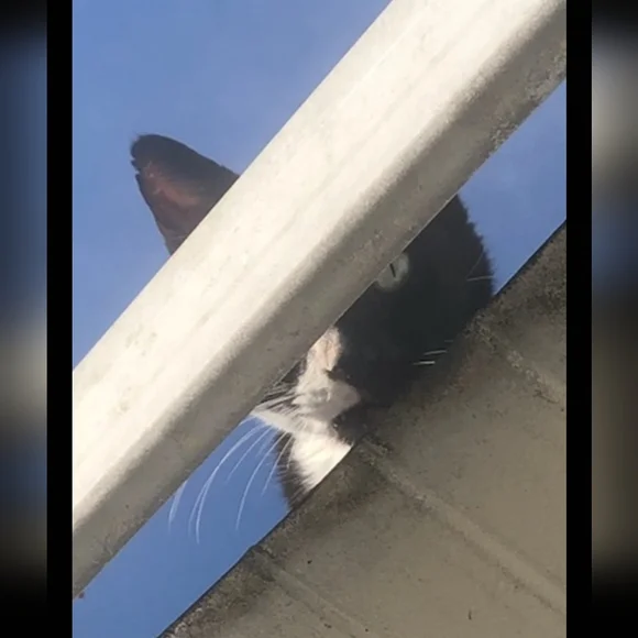 MELODY'S LIVE SHOW HOST LISTING - Picture 9 of 15